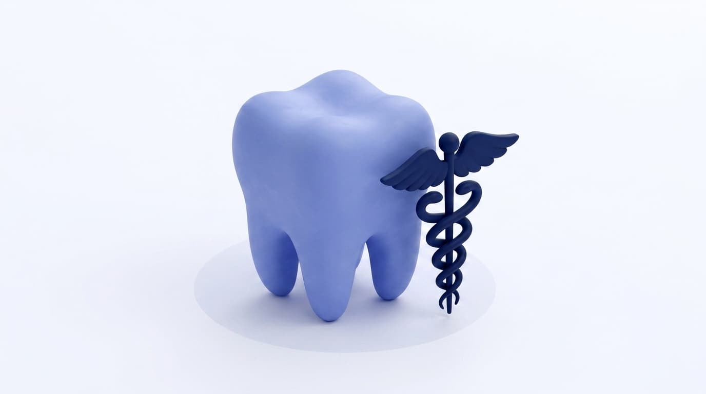 CARCDSF : rôle, fonctionnement et relevé de la Caisse Autonome de Retraite des Chirurgiens-Dentistes et des Sages-Femmes